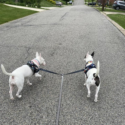 Laisse double pour chien-Rallonge double