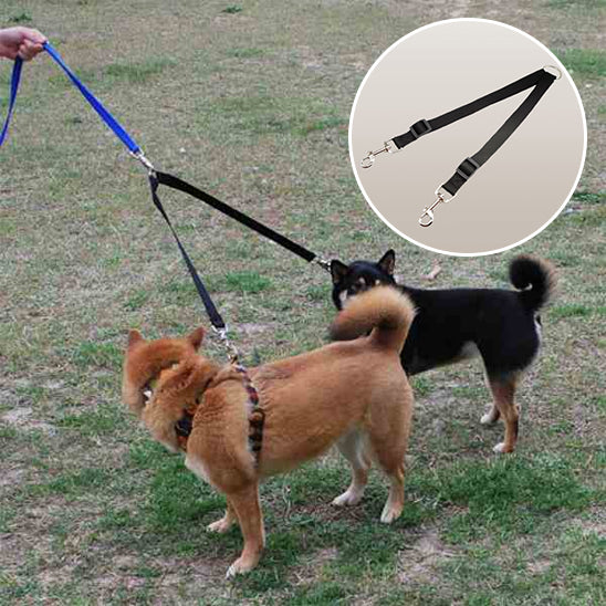 Laisse double pour chien-Rallonge double