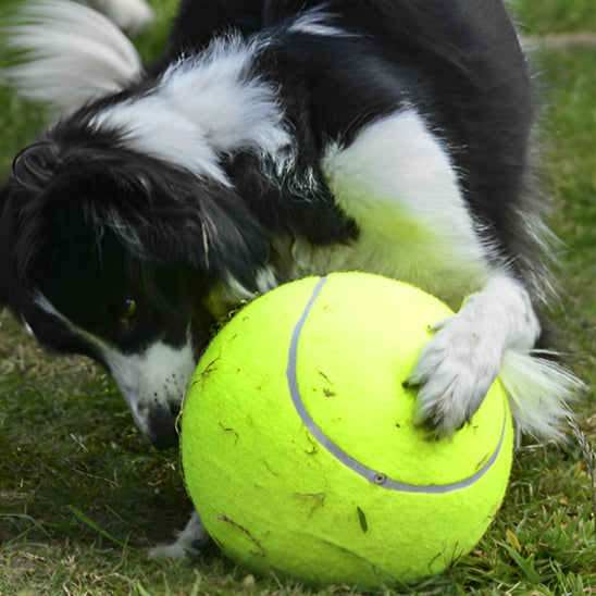 La Balle pour chien- GEANTE