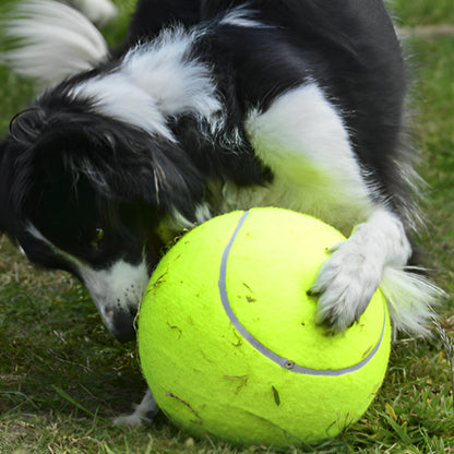 La Balle pour chien- GEANTE