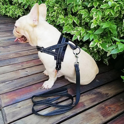 Harnais chien anti traction- No choking