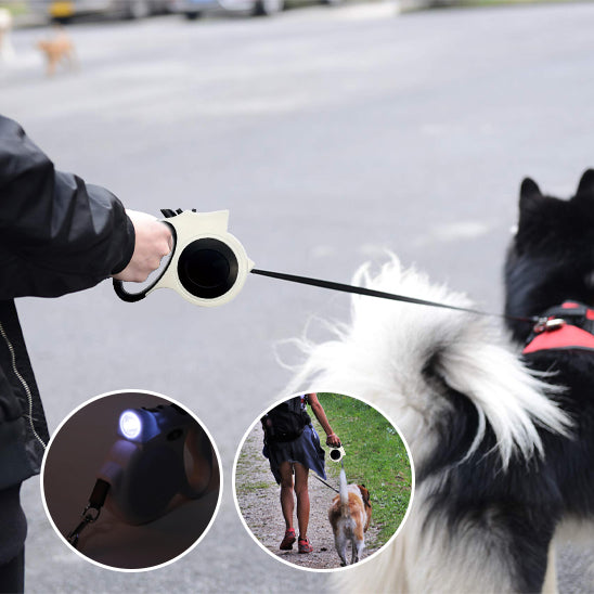 Laisse pour chien-Enroulable Lumineuse