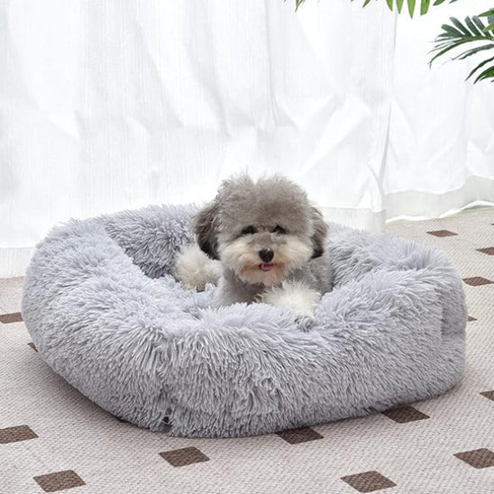 Panier pour chien- Le nuageux