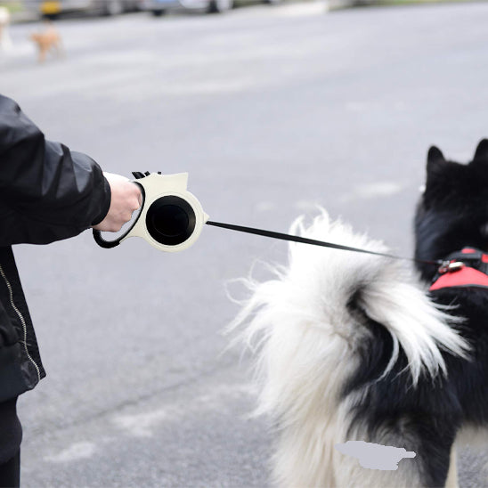 Laisse pour chien-Enroulable Lumineuse