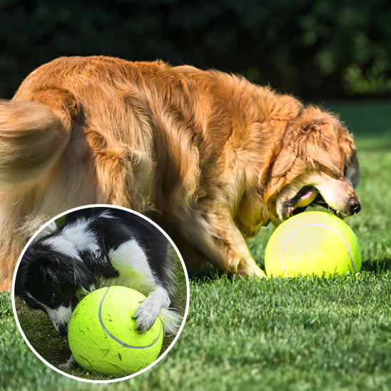 La Balle pour chien- GEANTE