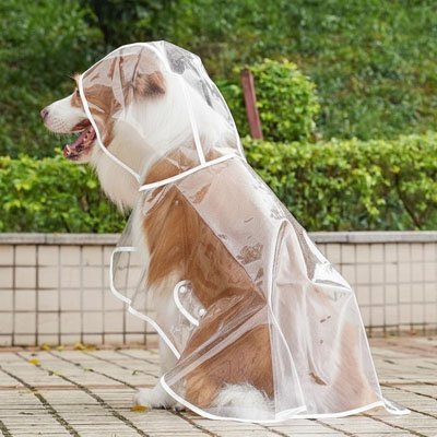 Imperméable pour chien | Confort Léger - Le Chihuahua Voyageur