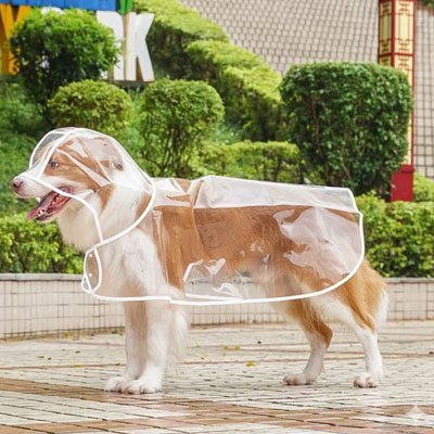 Imperméable pour chien | Confort Léger - Le Chihuahua Voyageur