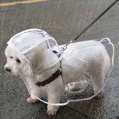 Imperméable pour chien | Confort Léger - Le Chihuahua Voyageur