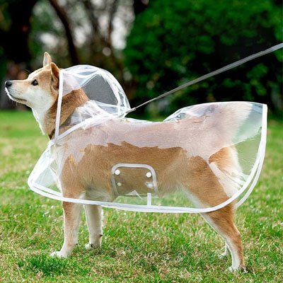 Imperméable pour chien | Confort Léger - Le Chihuahua Voyageur
