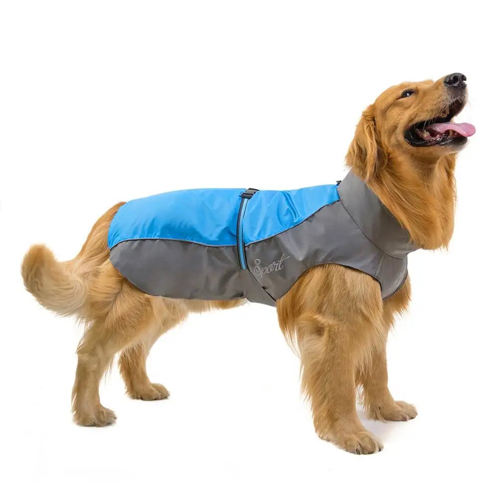 Imperméable pour chien | Protection Ultra - Le Chihuahua Voyageur