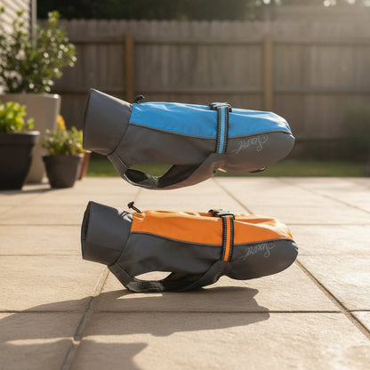 Imperméable pour chien | Protection Ultra - Le Chihuahua Voyageur