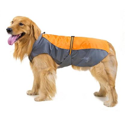 Imperméable pour chien | Protection Ultra - Le Chihuahua Voyageur