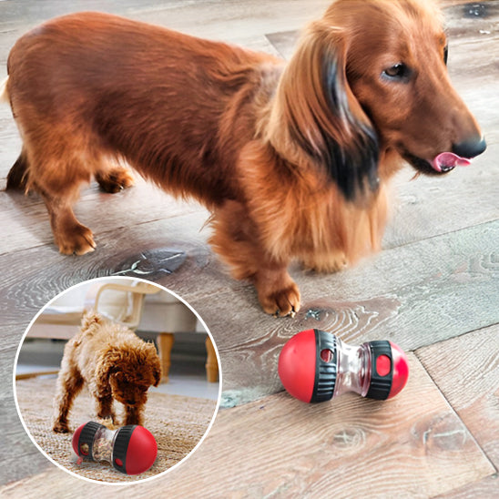 Jouet pour chien - Friandises puzzle