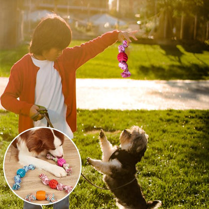 Jouet pour chien - Corde anti - destruction - Le Chihuahua Voyageur