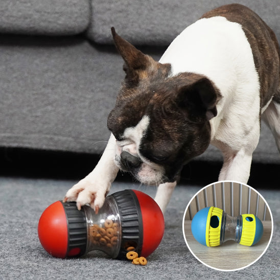 Jouet pour chien - Friandises puzzle