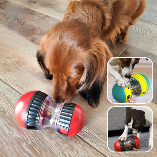 Jouet pour chien - Friandises puzzle
