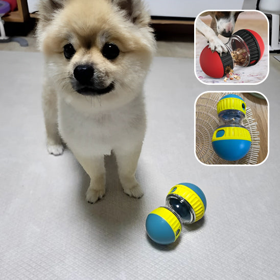 Jouet pour chien - Friandises puzzle