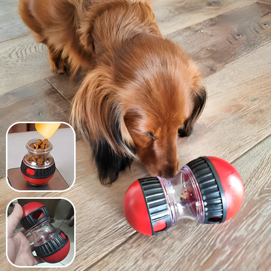 Jouet pour chien - Friandises puzzle