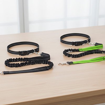 Laisse canicross | Élasticomfort - Le Chihuahua Voyageur