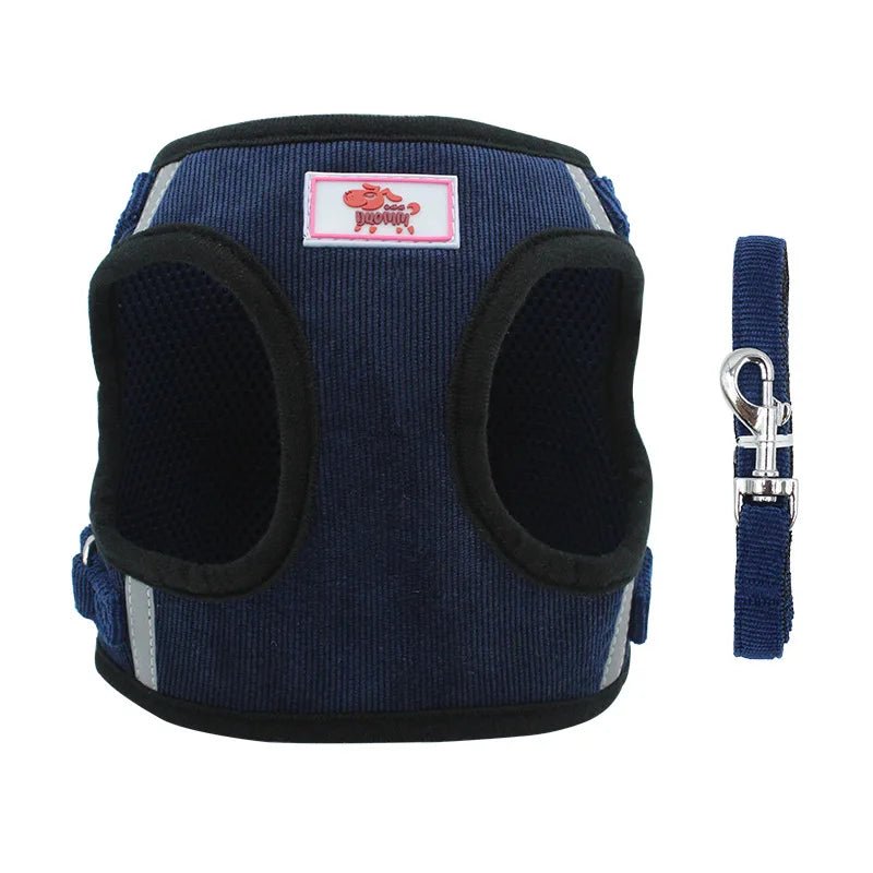 Laisse chien - Harnais chien Duo YUDODO - Le Chihuahua Voyageur