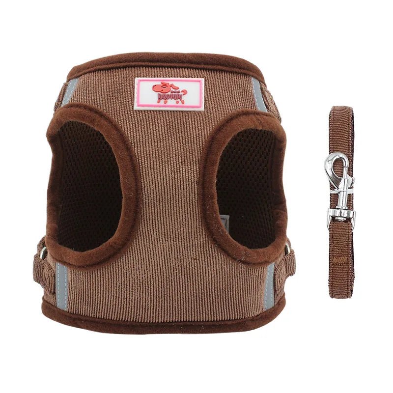 Laisse chien - Harnais chien Duo YUDODO - Le Chihuahua Voyageur