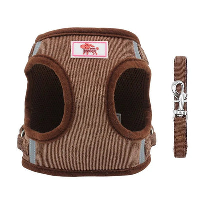 Laisse chien - Harnais chien Duo YUDODO - Le Chihuahua Voyageur