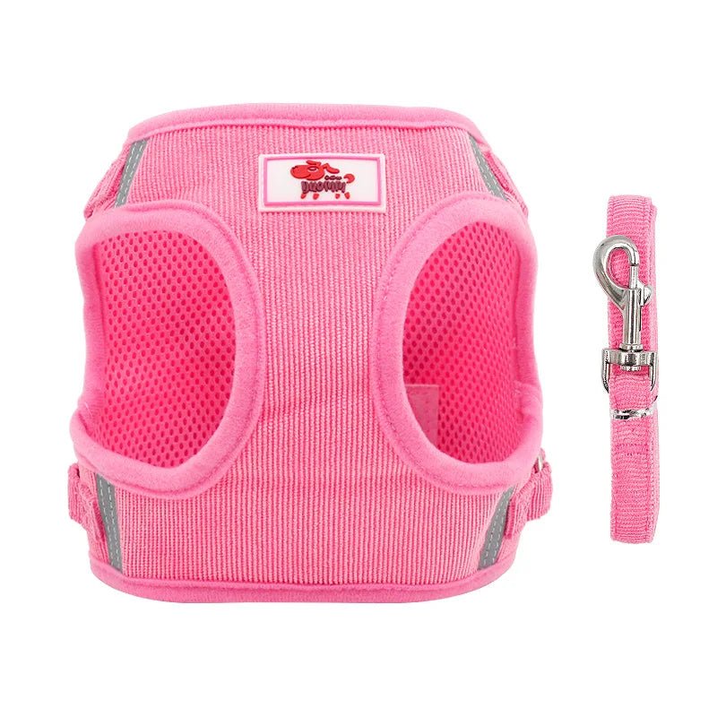 Laisse chien - Harnais chien Duo YUDODO - Le Chihuahua Voyageur