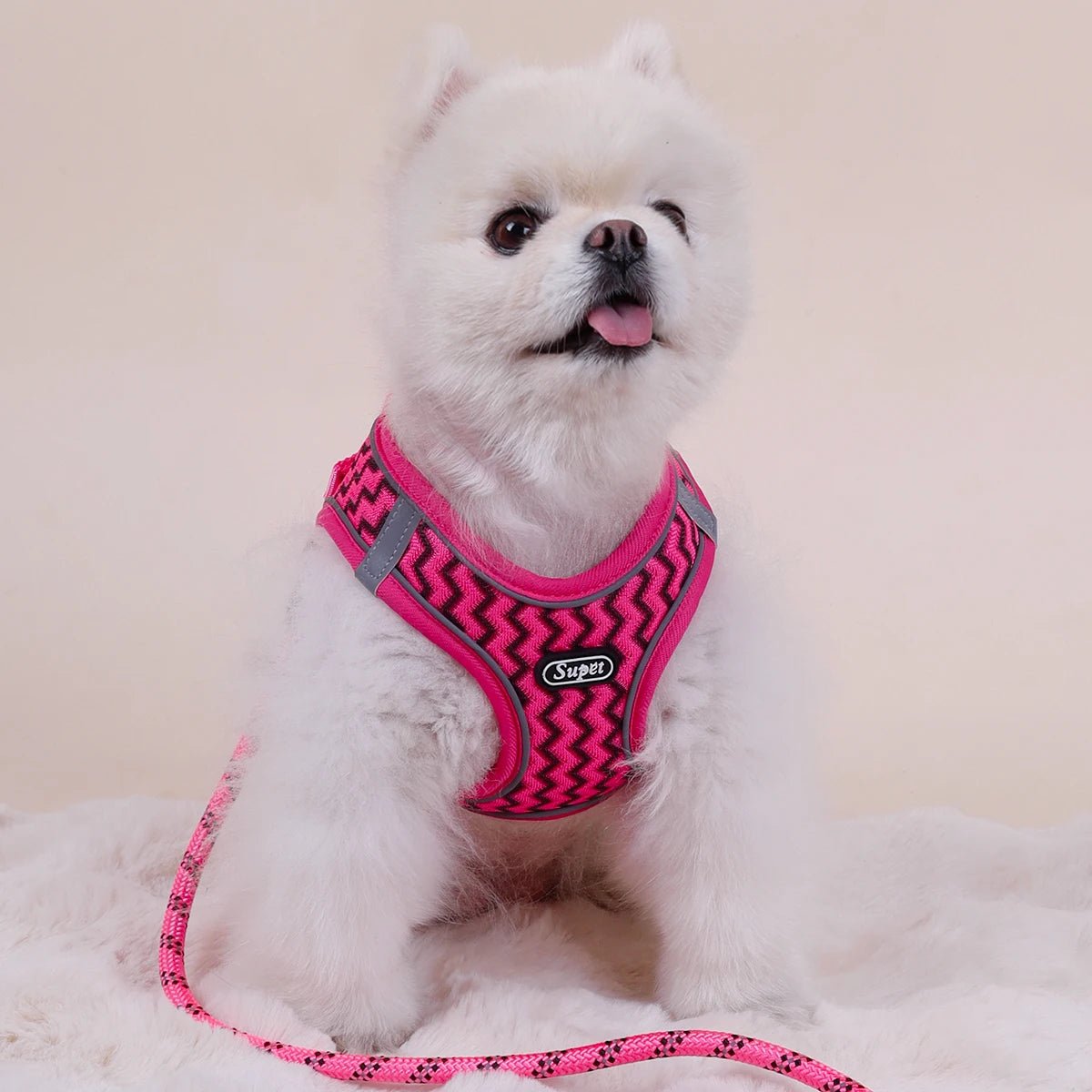 Laisse chien - Supet Tank Top Traction Rope - Le Chihuahua Voyageur