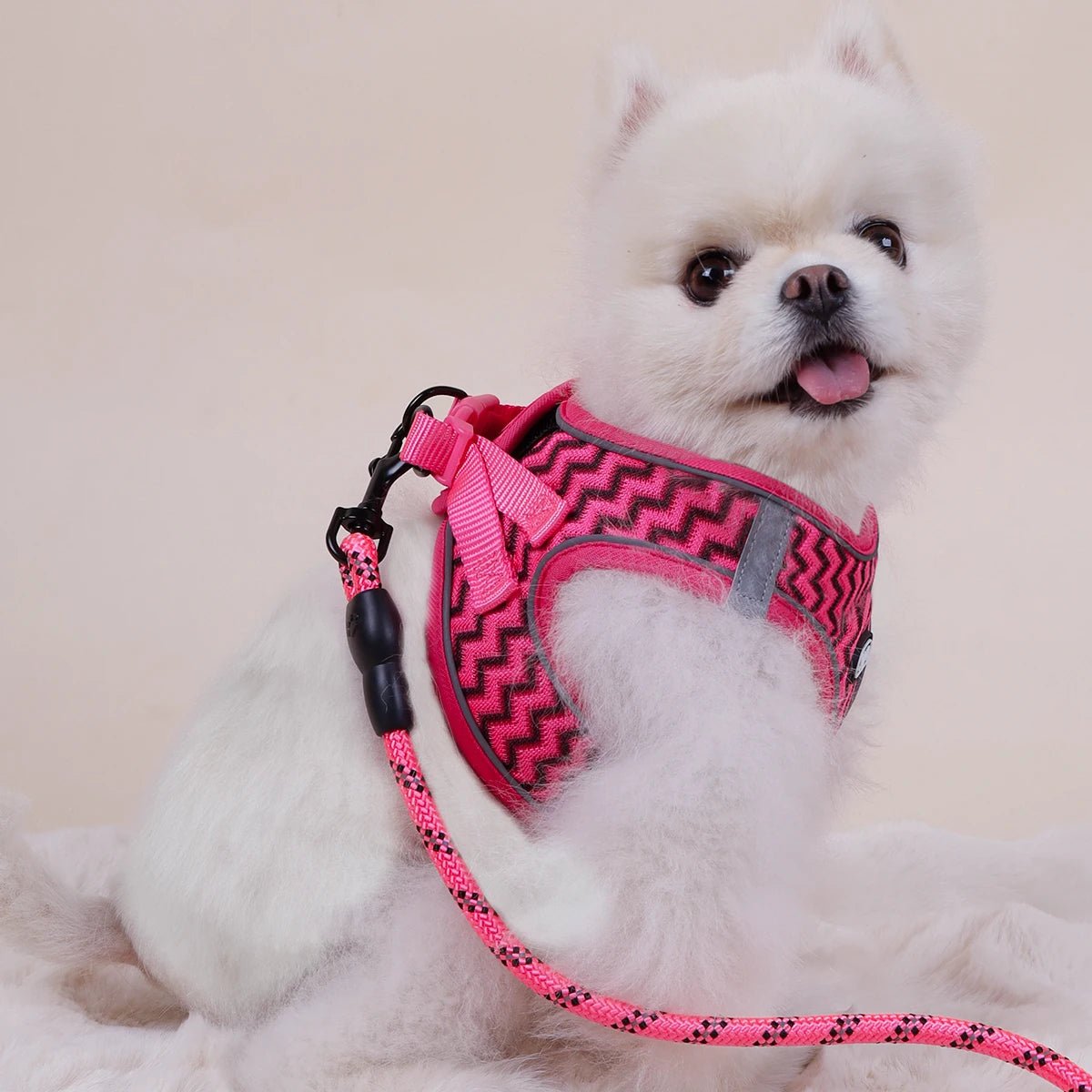 Laisse chien - Supet Tank Top Traction Rope - Le Chihuahua Voyageur