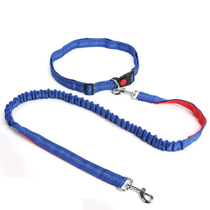 Laisse de chien - Ultimate Comfort - Le Chihuahua Voyageur