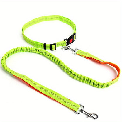 Laisse de chien - Ultimate Comfort - Le Chihuahua Voyageur