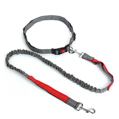 Laisse de chien - Ultimate Comfort - Le Chihuahua Voyageur