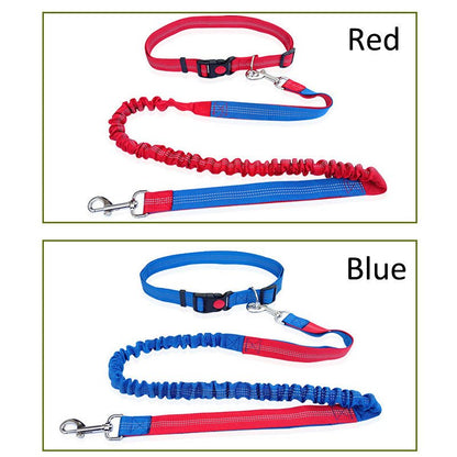 Laisse de chien - Ultimate Comfort - Le Chihuahua Voyageur