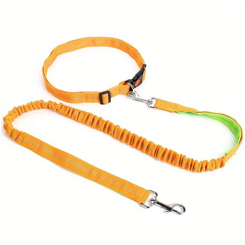 Laisse de chien - Ultimate Comfort - Le Chihuahua Voyageur