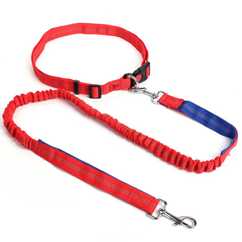 Laisse de chien - Ultimate Comfort - Le Chihuahua Voyageur