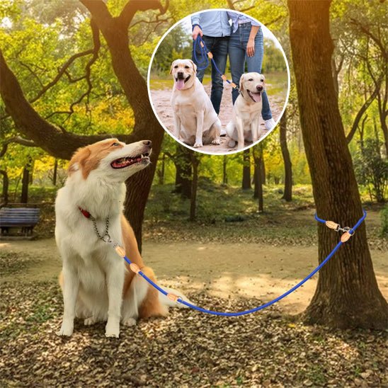 Laisse double pour chien | Sans enchevêtrement - Le Chihuahua Voyageur