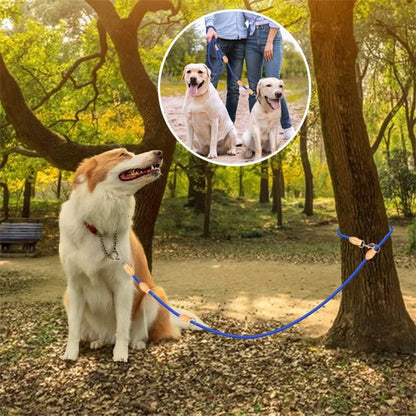 Laisse double pour chien | Sans enchevêtrement - Le Chihuahua Voyageur