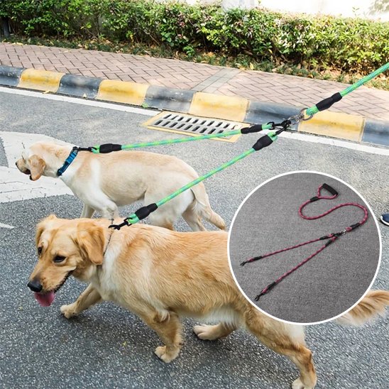 Laisse double pour chien