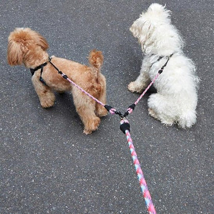 Laisse double pour chien