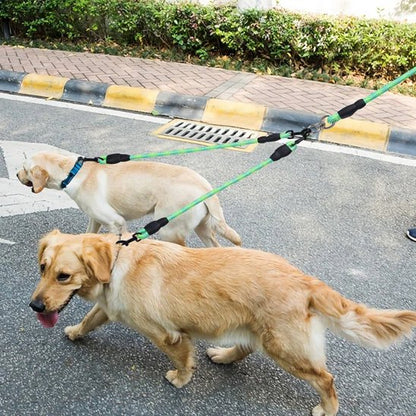 Laisse double pour chien