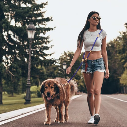 Laisse double pour chien