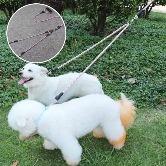 Laisse double pour chien