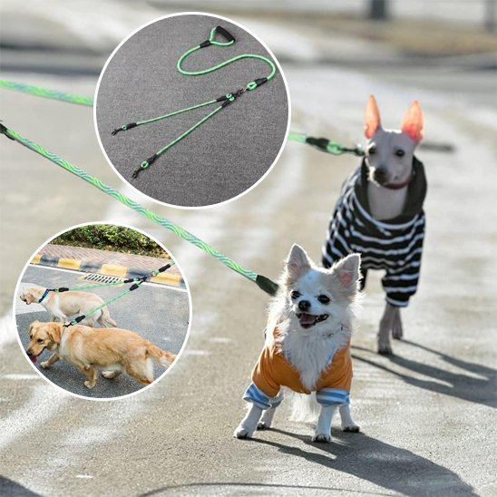 Laisse double pour chien