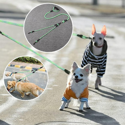 Laisse double pour chien