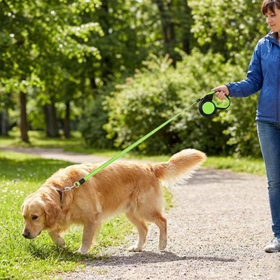 Laisse enrouleur pour chien | LibertyWalk - Le Chihuahua Voyageur