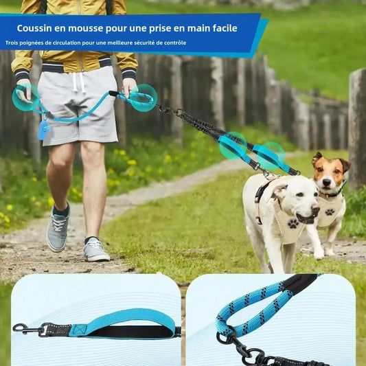 Laisse pour chien - Double 360 Swivel - Le Chihuahua Voyageur