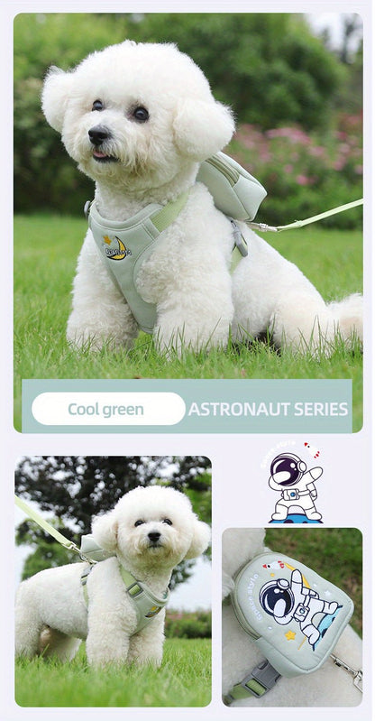 Laisse pour chien - Football in Space - Le Chihuahua Voyageur