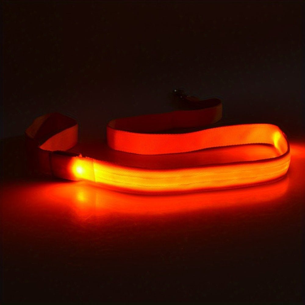 Laisse pour chien Glow Visible - Le Chihuahua Voyageur