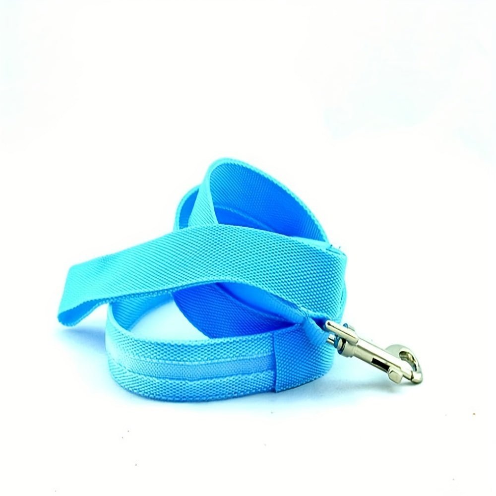 Laisse pour chien Glow Visible - Le Chihuahua Voyageur