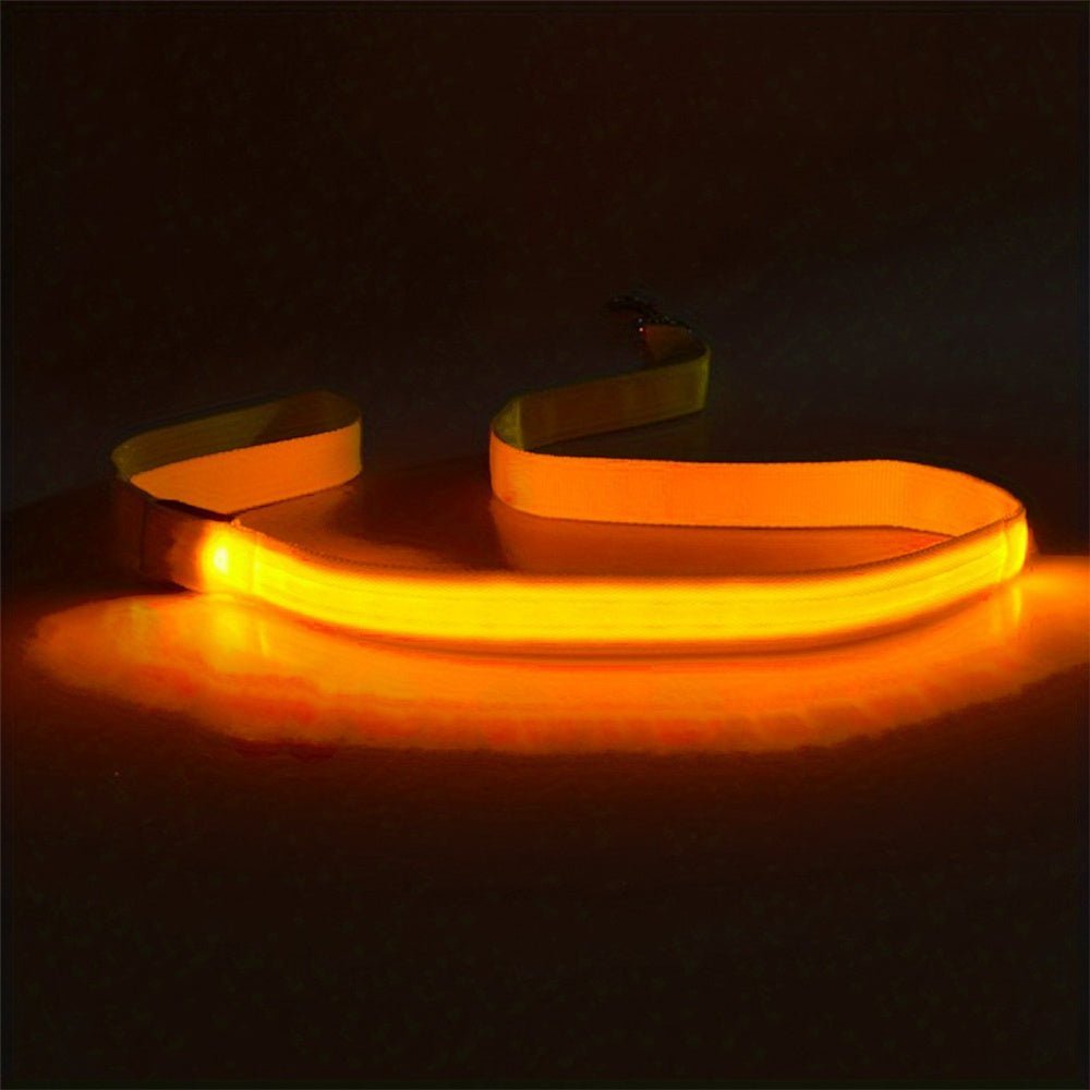 Laisse pour chien Glow Visible - Le Chihuahua Voyageur